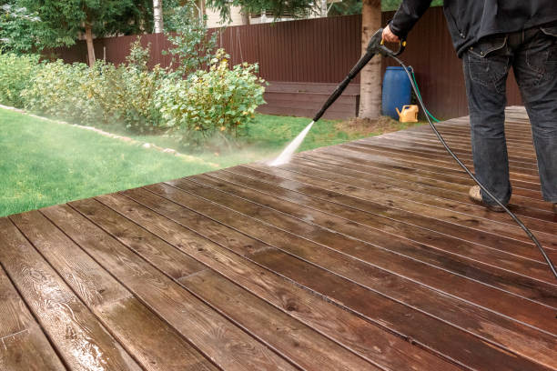 Best Roof Washing  in Sells, AZ